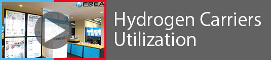 Hydrogen Carriers Utilization